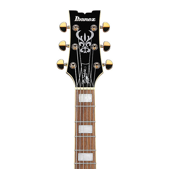 Ibanez JSM10EM-TTM John Scofield Signature Serisi Hallow Body Elektro Gitar